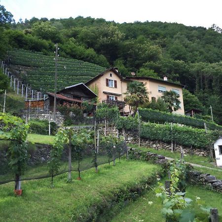 Casa Immersa Nel Vigneto Apartment Roveredo Exterior photo