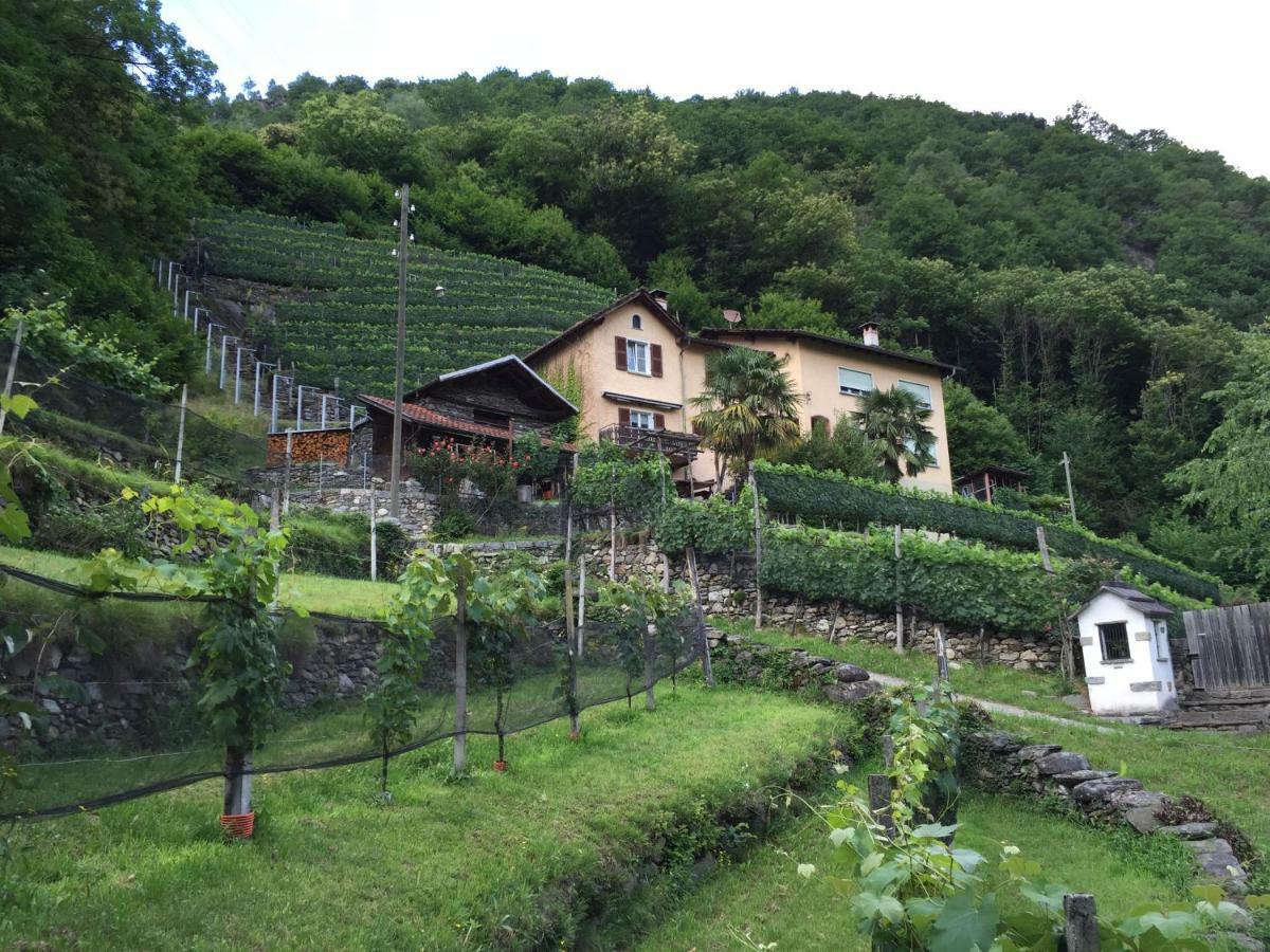 Casa Immersa Nel Vigneto Apartment Roveredo Exterior photo